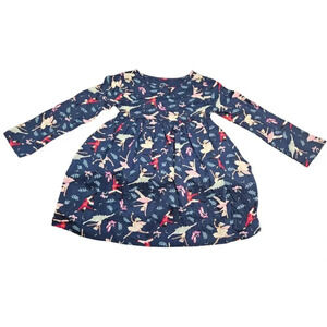 2T Blue Ballet Girls Winter Themed Long Sleeve Dress, Dress for Toddlers